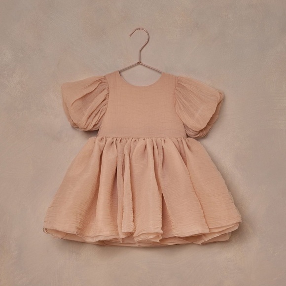 Noralee Sofia Dress In Dusty Rose - Picture 1 of 7